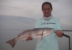 Tony working his magic with top-water plugs on a recent trip with Capt. Mark Wright!