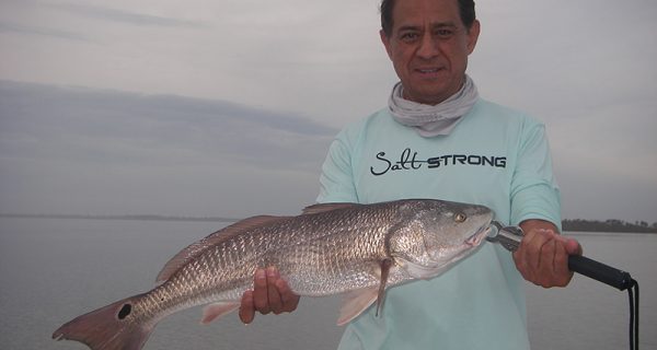 Tony working his magic with top-water plugs on a recent trip with Capt. Mark Wright!