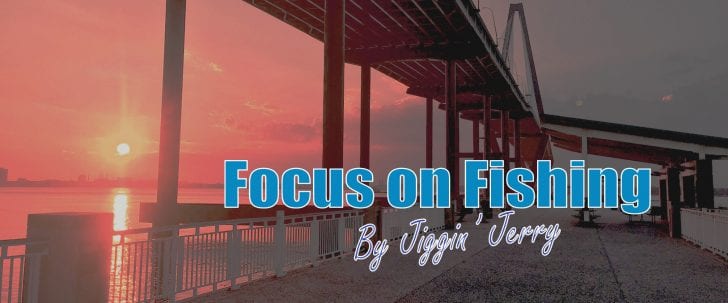 Becoming a Puppeteer Fisherman – By Jiggin' Jerry - Coastal Angler & The  Angler Magazine