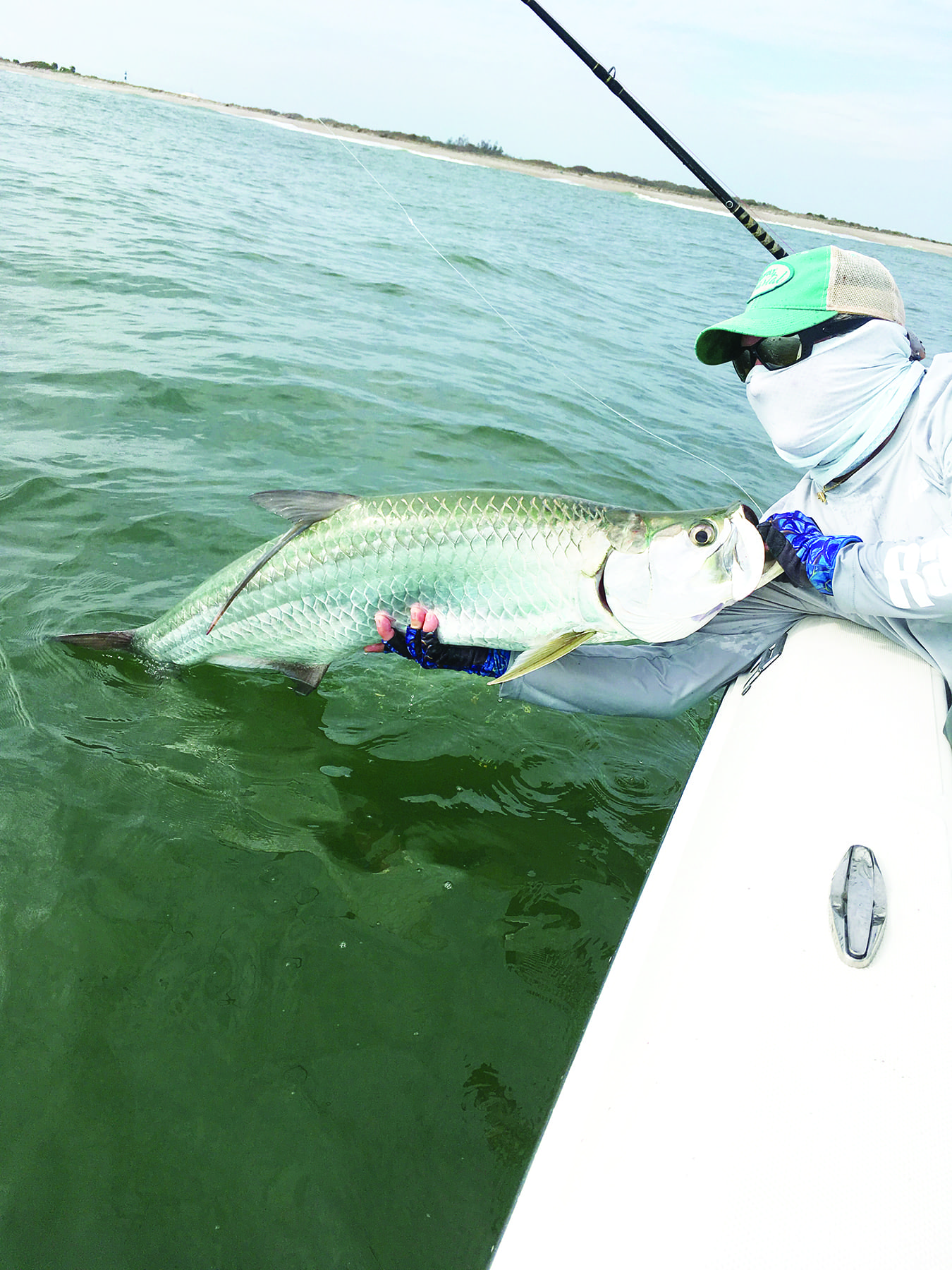 If the water conditions stay fairly warm, Baby tarpon may be one of the species anglers can expect at Canaveral this month.