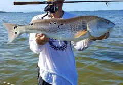 Michael Troso with a beautiful redfish