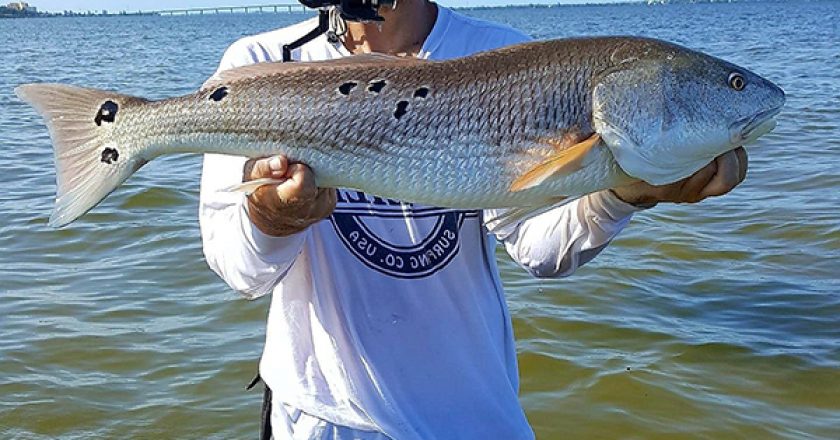 Michael Troso with a beautiful redfish