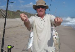 Mike during a Bluefish Blitz was catching the blues two at a time.