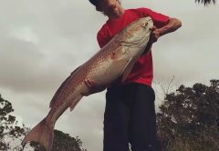 Mikey Argryoudis with his personal best a 47 inch redfish caught near Pine Island FL