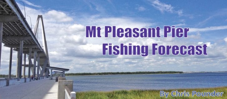 Mt Pleasant Pier July Fishing Forecast - Coastal Angler & The