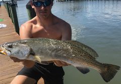 Nick Sidor from Merritt Island