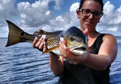 Stevie Chandler caught this 23 inch redfish in the North Indian River in Merrritt Island