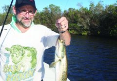 Speckled trout are a common catch when anglers can find baitfish gathering near mangroves.