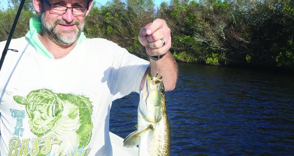 Speckled trout are a common catch when anglers can find baitfish gathering near mangroves.