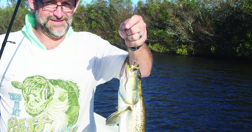 Speckled trout are a common catch when anglers can find baitfish gathering near mangroves.