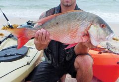 Joe Hector with his slob of a mutton snapper.