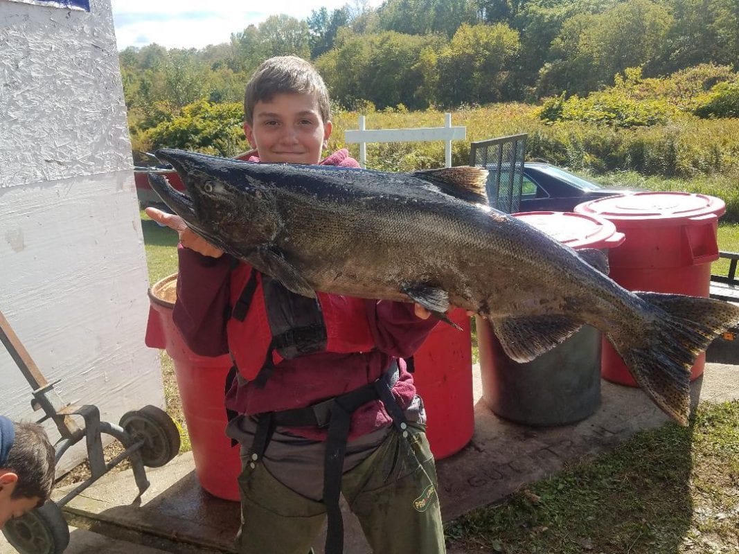 12 year old boy catches 30 pound male king salmon - Coastal Angler