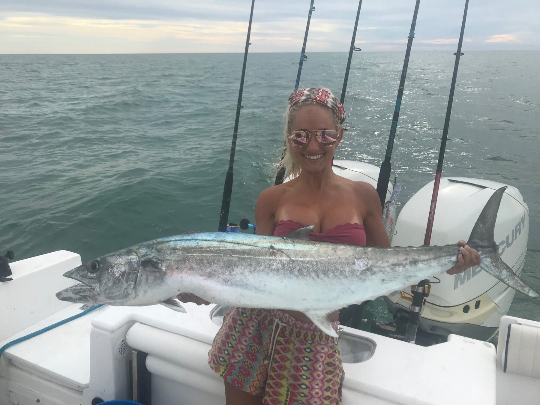 Tailing The Kingfish Migration - Coastal Angler & The Angler Magazine