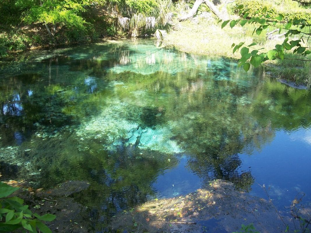 Florida Waterways “The Rainbow River” - Coastal Angler & The Angler ...