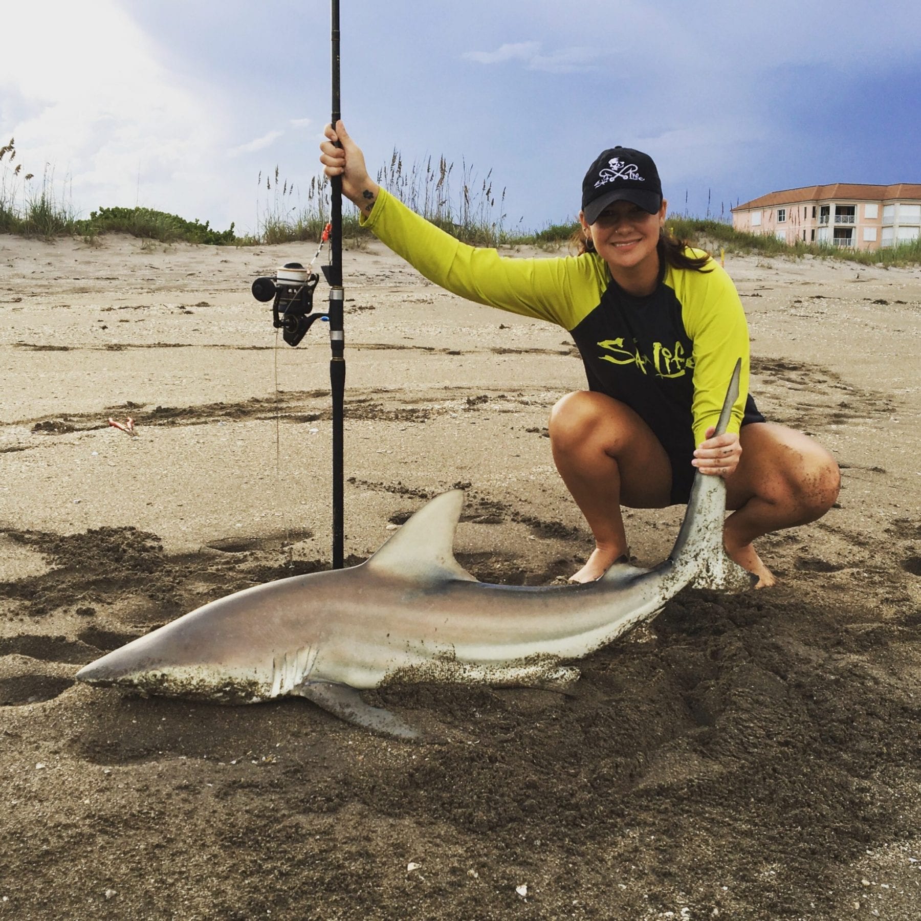 Blacktip shark, catch and release - Coastal Angler & The Angler