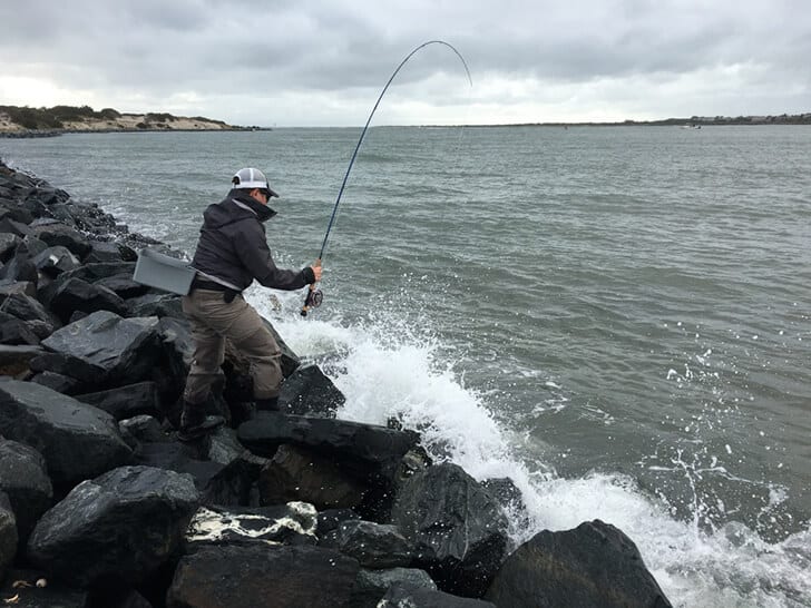 A Trout Fisher’s Guide to Catching Striped Bass on the Fly - Coastal ...