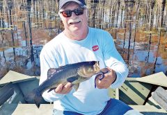 Capt Stan with a nice bass from the Carter’s Tract.