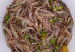 Ben Cubbage pulls in the first gallon of shrimp of the seaon in Edgewater, Florida