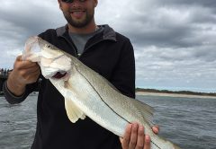 Snook are just one of the species available near the jetty this month.