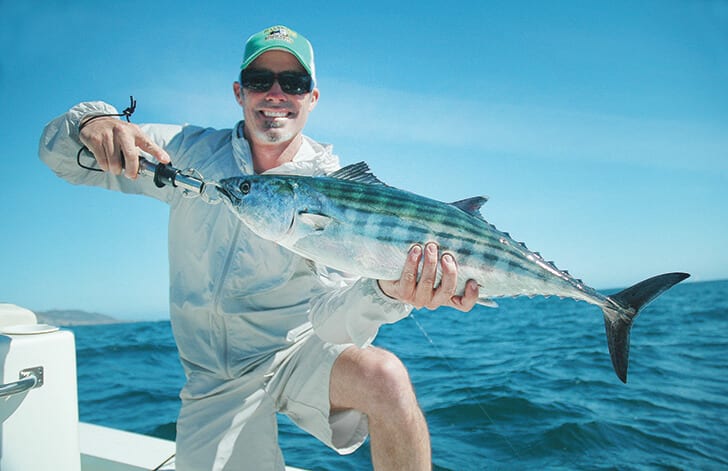 These inshore bonito Got a nice fight to em : r/BFSfishing