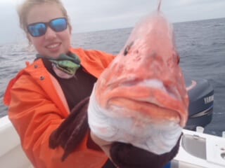 Captain Judy's Inshore Offshore Fishing Report and Snapper Season