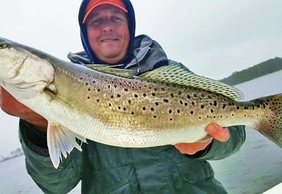 Speckled Trout: From the Shallows to the Skillet - Coastal Angler & The  Angler Magazine