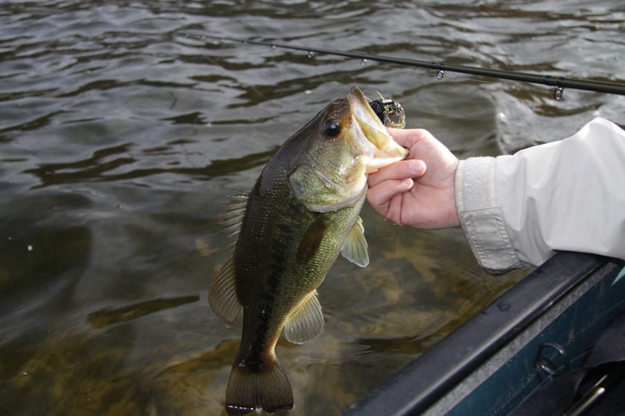 FISHING PLANET largemouth bass jig presentation