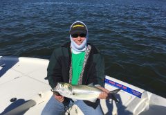 Chunky bluefish are just one of the species anglers can expect at the port this month.