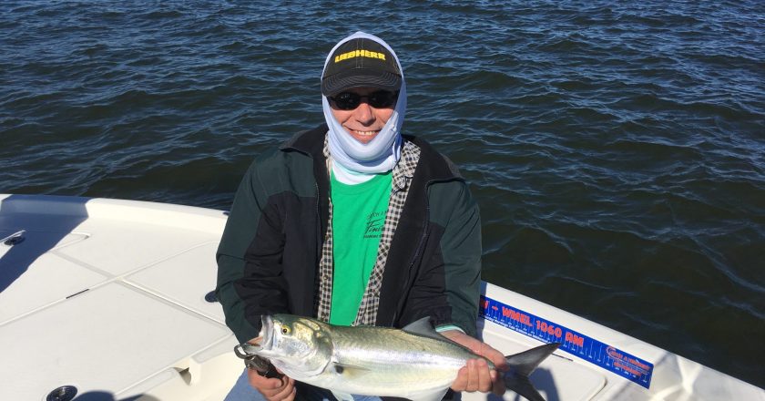 Chunky bluefish are just one of the species anglers can expect at the port this month.