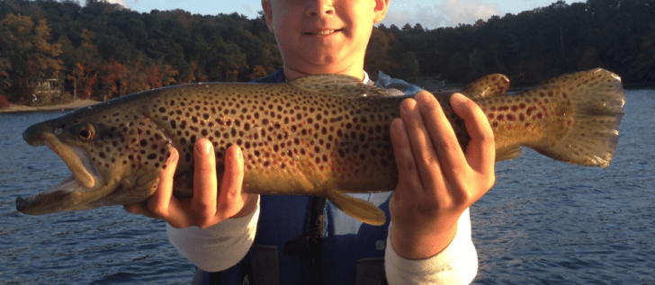 Fall Trout Fishing Is Here | Coastal Angler & The Angler Magazine