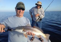 Redfish will be roaming the flats of the Banana River Lagoon during calm weather periods between cold fronts this month.