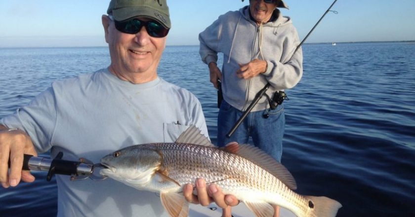 Redfish will be roaming the flats of the Banana River Lagoon during calm weather periods between cold fronts this month.