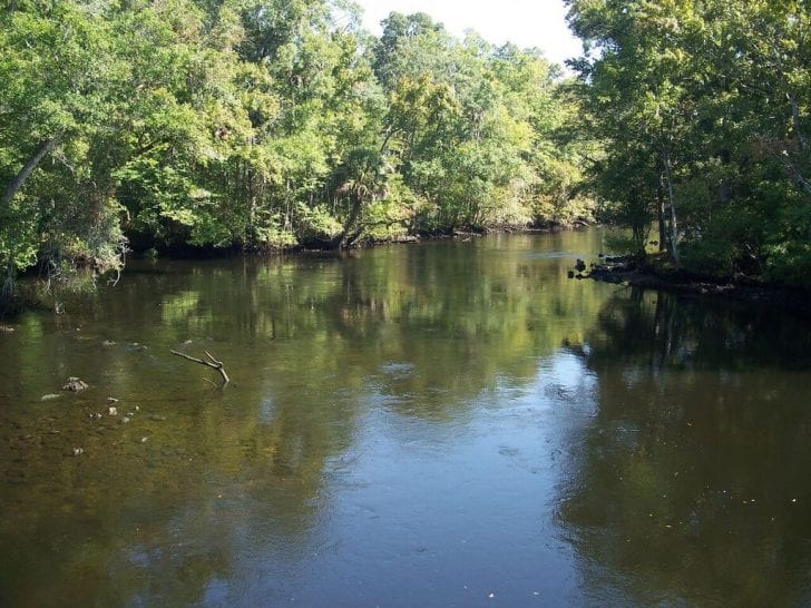 Florida Waterways: The Aucilla River - Coastal Angler & The Angler Magazine