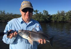 Sheepshead are holding on docks, rocky areas and mangrove roots this month in the Banana River Lagoon.