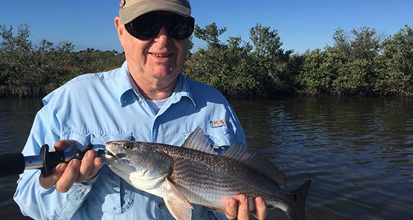 Sheepshead are holding on docks, rocky areas and mangrove roots this month in the Banana River Lagoon.