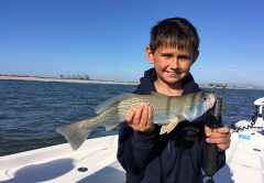 It a great time to grab your jacket and get those kids out there for some great fishing action this month. Bluefish, weakfish and others are biting right now.
