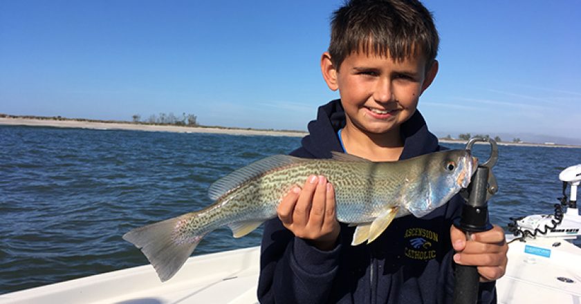 It a great time to grab your jacket and get those kids out there for some great fishing action this month. Bluefish, weakfish and others are biting right now.