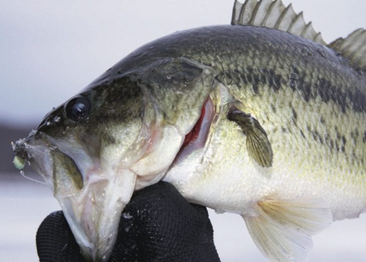 Keep Moving for Better Ice Fishing - Coastal Angler & The Angler Magazine