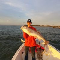 Andrew Berube of Indialantic Florida nabbed this 43 inch Redfisher using a live Croaker early Sunday morning on Feb 4th. It was caught during slack tide near the fenders of the main channel. His dad Paul Berube, owner of Boaters Exchange, was out-fished once again.