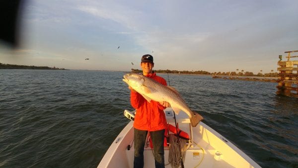 Andrew Berube of Indialantic Florida nabbed this 43 inch Redfisher using a live Croaker early Sunday morning on Feb 4th.  It was caught during slack tide near the fenders of the main channel.  His dad Paul Berube, owner of Boaters Exchange, was out-fished once again.