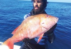 Bill D’Antuono with a solid mutton snapper.