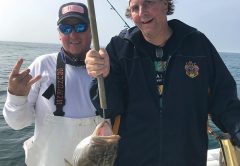 Trolling, nice 27” gag grouper w/ Capt. Morgan Charters out of Bradenton Beach, FL
