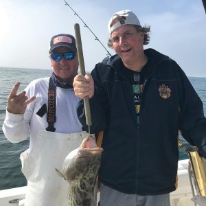 Trolling, nice 27” gag grouper w/ Capt. Morgan Charters out of Bradenton Beach, FL