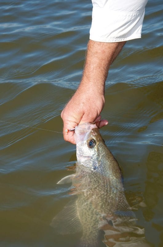 Tips from a crappie fisherman