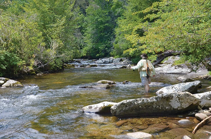 Backcountry Trout on Fontana’s Hazel Creek - Coastal Angler & The ...