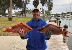 Mike Horner caught a couple nice Hogfish, hook & line using shrimp 10 miles offshore Sarasota.