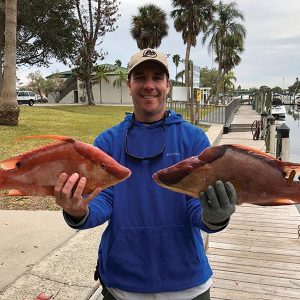 Mike Horner caught a couple nice Hogfish, hook & line using shrimp 10 miles offshore Sarasota.