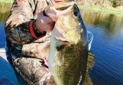 Steve Philips with a nice freshwater catch.