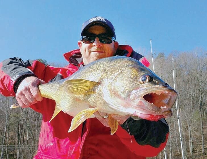 how to catch walleye in new york on fishing planet