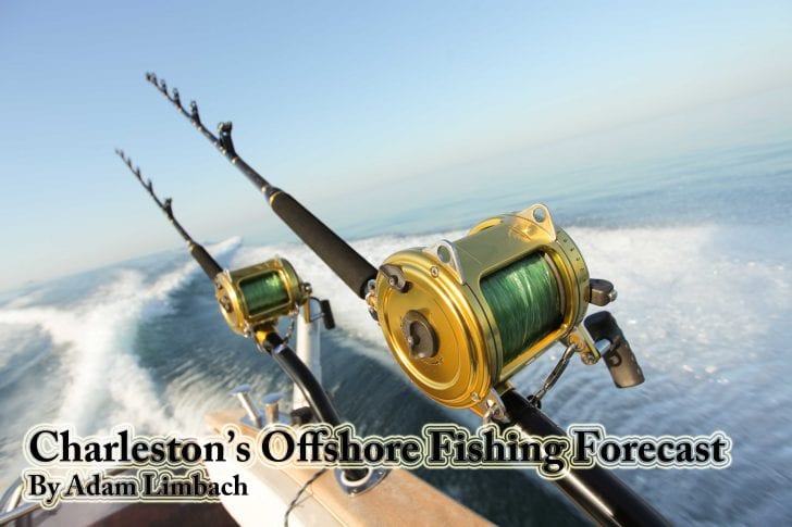 Charleston Offshore Fishing Forecast – April - Coastal Angler